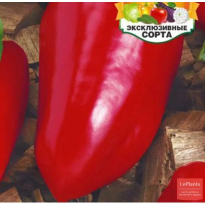 Red pepper variety Exclusive - VERNOST'