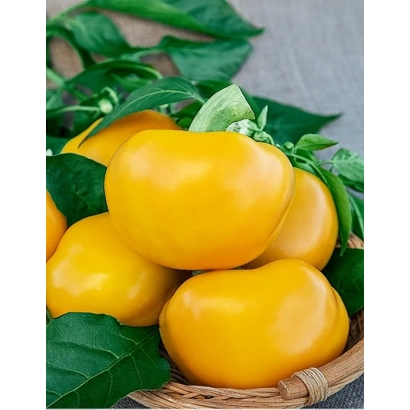 Желтые перцы в плетеной корзине на фоне зеленых листьев - ЗОЛОТО ГЕРОЯ