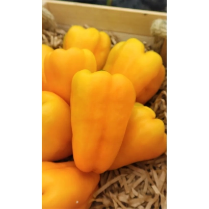 Жовті перець у дерев'яному ящику з соломою - ЗОЛОТИЙ ЗАПАС