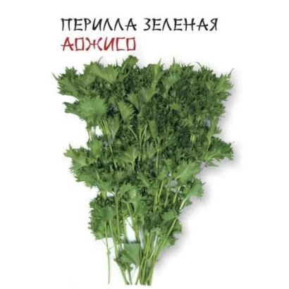 Pack of green Ajiso seeds - Ajiso Sauce