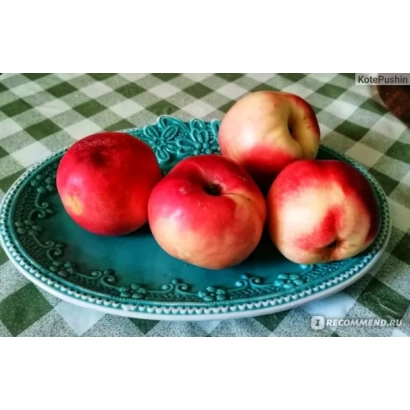 Четыре персика на синей тарелке на клетчатом фоне - Достойный