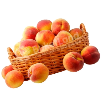 Кошик з персиків на білому фоні - УЛЮБЛЕНИЙ