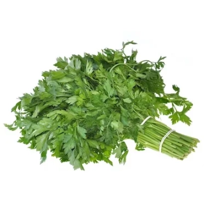 Свежий пучок петрушки на белом фоне - Аргон