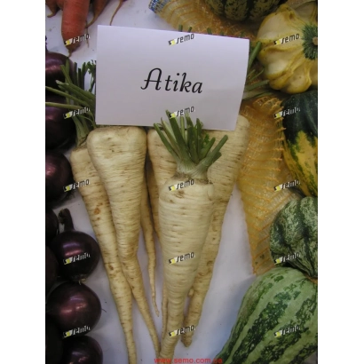 Букет с ярлыком Atika и пастернаком - Атика