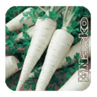 Семена петрушки Челеста на зеленом фоне