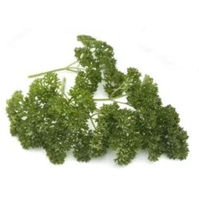 Свежая петрушка на белом фоне - Эсмеральда