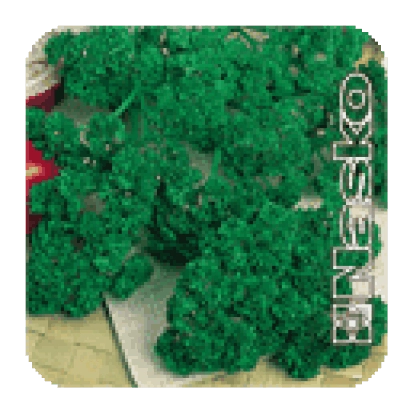 Свежая зелень Фреска в упаковке