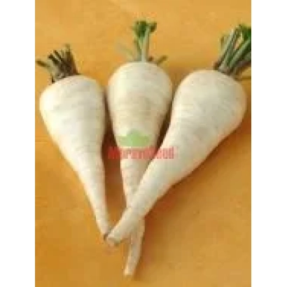 Три белые морковки на оранжевом фоне - КОНИКА