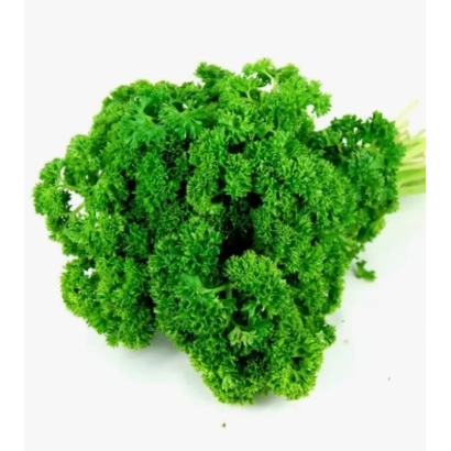 Свіжа петрушка на білому фоні - Стихія