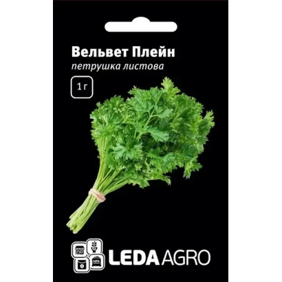 Seed packet of parsley Velvet Plain