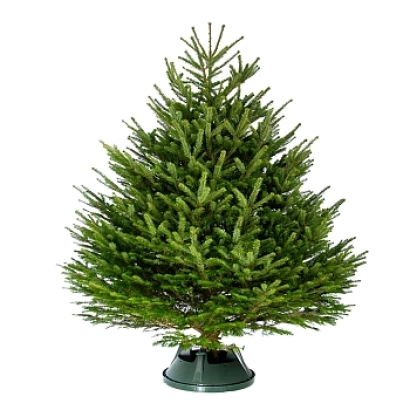Искусственная ель Ермаковская на подставке