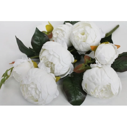 Білі піони на зелених листках - НАДИХНЕННЯ