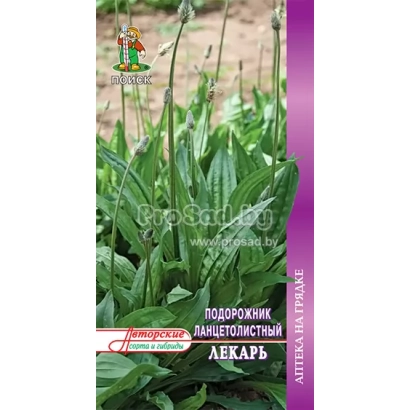Упаковка семян подорожника Лекарь с изображением растения