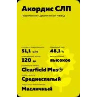 Sunflower seeds variety Accordis SL, medium-maturing, oil-bearing - 8 X 341 KLDM