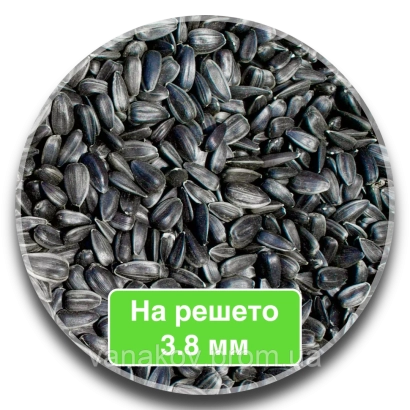 Солнечные семена на решетке 3.8 мм - 8Н288CPDM / 8Х288КПДМ