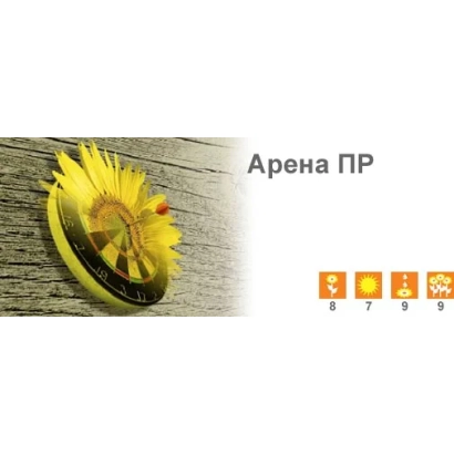 Солнечное поле с подсолнухом и надписью «Арена ПР»