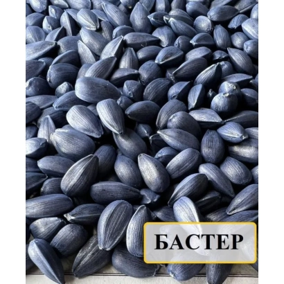 Солнечные семечки Бакстер