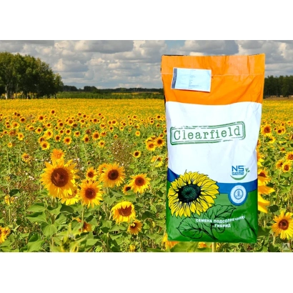 Мішок насіння Clearfield на фоні соняшникового поля - БК 377/А