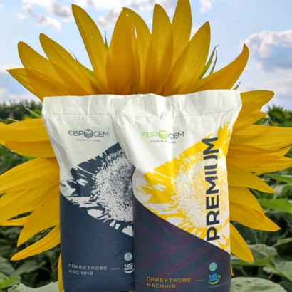 Мішки насіння соняшнику сорту Ц 1 М 60 B на фоні соняшника - Ц 1 М 60 Б