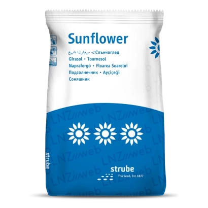 Sunflower seed bag from brand strube - CELSO ST