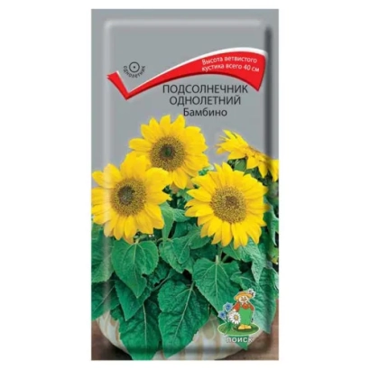 Sunflower seed packet EU BAMBINA