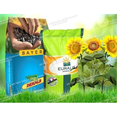 Пакет семян подсолнечника ЕС Бесана от Bayer с изображением подсолнухов