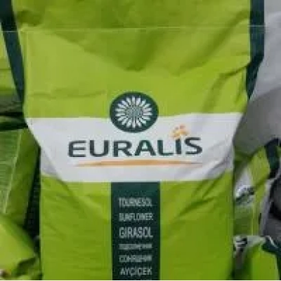 Bag of sunflower seeds EU Lolita by manufacturer Euralis