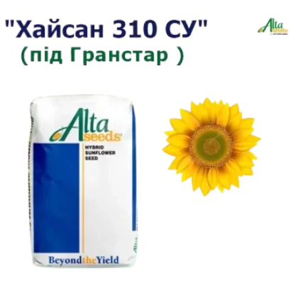Пакет семян подсолнечника Хайсан 310 СУ