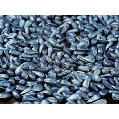 Сонячні насіння соняшнику - ІЛЬМЕНЬ