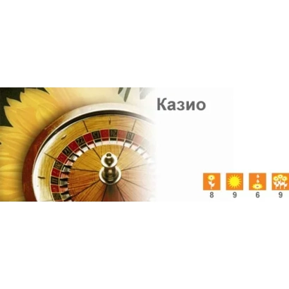 Солнечный диск с надписью Казио