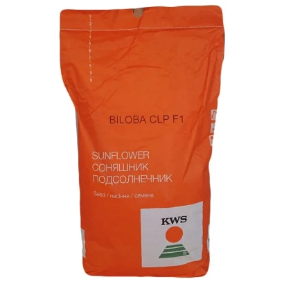 Пакет насіння соняшника KWS NAUTILUS CLP - КВС НАУТІЛУС КЛП