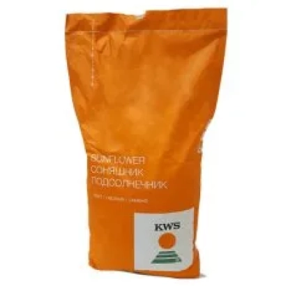 Пакет семян подсолнечника KWS SINTRA - КВС СИНТРА