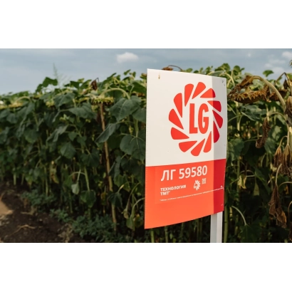 Знак з логотипом LG та написом ЛГ 59580 на фоні соняшнику - ЛГ 127 А