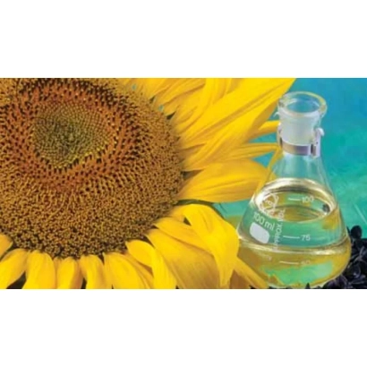 Sunflower 5550 | LG 55.50 — sunflower with oil in flask