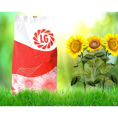 Seed bag with LG logo against sunflower background - LG 5580