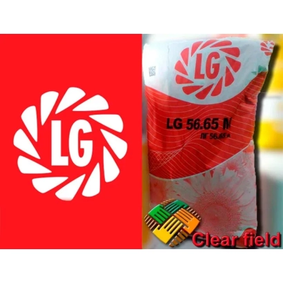 Bag of sunflower seeds LG 56.65 N - LG 5669CL