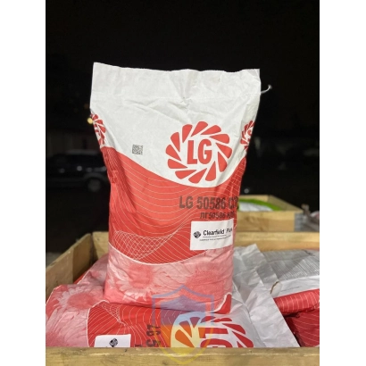 Мешок семян подсолнечника LG 50586 CLP - ЛГ50586 КЛП