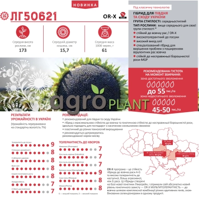 Информационная карточка сорта подсолнечника ЛГ50621 с фото семян и характеристиками