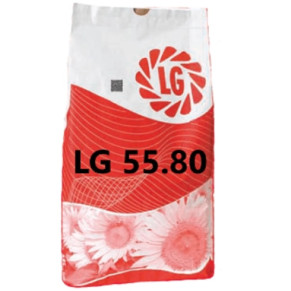 Мешок семян подсолнечника LG 55.80 - ЛГ5580
