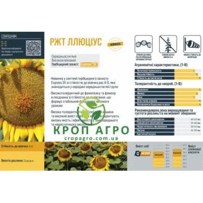 Семечки подсолнечника сорта ЛЛЮЦИУС на упаковке