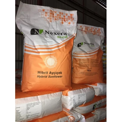 Мешок с гибридным подсолнечником Nexera - Магура