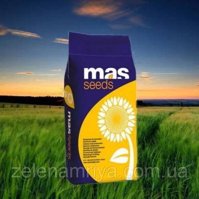 Пакет насіння соняшника MAS 810 B на фоні поля - МАС 810 Б