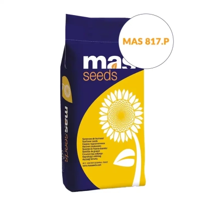 Пакет семян подсолнечника MAS 817.P - МАС 817П