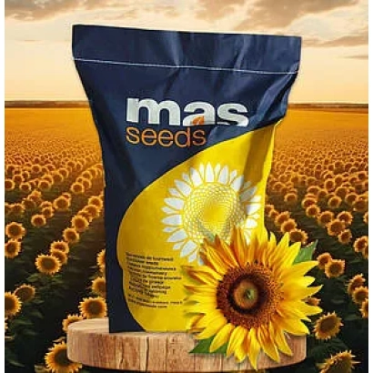 Мешок семян подсолнечника MAS 82A на фоне поля - МАС 82А