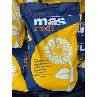 Мешок семян подсолнечника MAS 83OL от MAS Seeds - МАС 83ОЛ