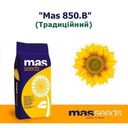 Пакет семян подсолнечника Mas 850.B - МАС 850Б