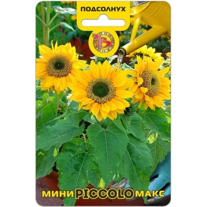 Sunflower seed packet Maxtor F1 with flower image