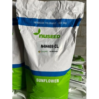 Мешок семян подсолнечника N4H469 CL от бренда Nuseed - Н4Х469 КЛ