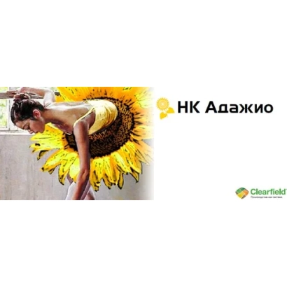 Солнцезерное поле с надписью НК Адажио