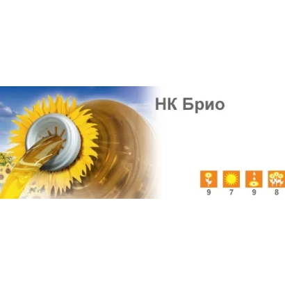 Солнечное поле с логотипом НК Брио